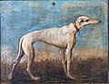 Greyhound, painted for Villa Tiepolo, Zianigo, now at Ca' Rezzonico, Venice