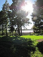 View of Lake Tarpon from John Chestnut Park