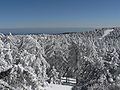 Image 42The Troodos Mountains experience heavy snowfall in winter. (from Cyprus)