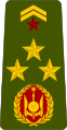 Général de brigade (Djiboutian Army)