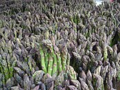 Green asparagus for sale in New York City