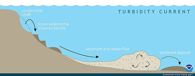 Continental margins can experience slope failures triggered by earthquakes or other geological disturbances. These can result in turbidity currents as turbid water dense with suspended sediment rushes down the slope. Chaotic motion within the sediment flow can sustain the turbidity current, and once it reaches the deep abyssal plain it can flow for hundreds of kilometres.[33]