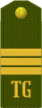 Seržant (Turkmen Ground Forces)[88]