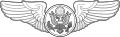 Aircrew Badge (Enlisted)