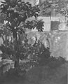 Édouard Manet: Gartenecke in Rueil, 1882, Privatsammlung