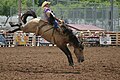 Rodeo in Deadwood, South Dakota. By Gary Chancey, USFS.