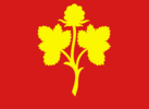 Flag of Nesseby Municipality
