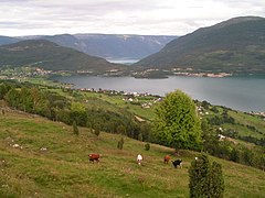 Hafslovatnet lake with the Sognefjord in the background