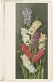 Hyacinths, chromolithograph (Boston Public Library)