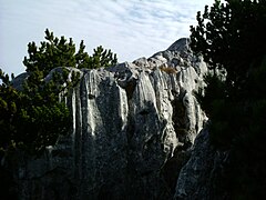 Verkarsteter Dachsteinkalk am Kehlstein, Berchtesgadener Alpen