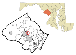 Location of Washington Grove in Montgomery County and Maryland