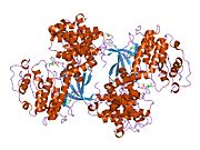 1oiy: STRUCTURE OF HUMAN THR160-PHOSPHO CDK2/CYCLIN A COMPLEXED WITH A 6-CYCLOHEXYLMETHYLOXY-2-ANILINO-PURINE INHIBITOR
