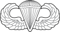 Parachutist Badges (Basic, Senior, and Master)