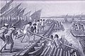 Image 14Phoenicians build pontoon bridges for Xerxes I of Persia during the second Persian invasion of Greece in 480 BC (1915 drawing by A. C. Weatherstone). (from Phoenicia)