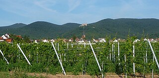 Die Haardt südlich von Neustadt/W. (Diedesfeld); von links nach rechts: Kalmit (673 m), Taubenkopf (604 m), Hambacher Schloss, Hohe Loog (619 m)