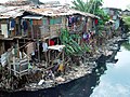 A multi-family shack in a riverside shantytown, Jakarta, Indonesia.