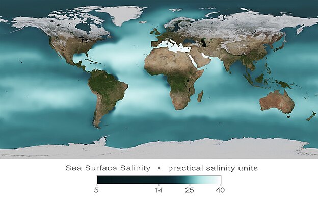 Annual mean sea surface salinity, measured in 2009 in practical salinity units [14]