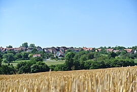 A general view of Weislingen
