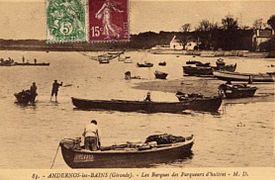 Boats used for culturing oysters in the Gironde estuary, France (circa 1920)