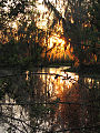 Sunset in Barataria Preserve, Louisiana