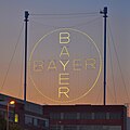 Bayer-Kreuz