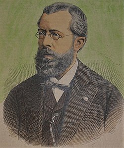 Johannes Fastenrath (1877)