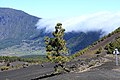 Dissolving clouds from Foehn wind over the Cumbre Nueva in El Paso, La Palma, Canary Island
