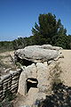 Entrance to dolmen