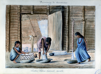 An 1856 watercolor by Manuel María Paz shows cassava bread being prepared by members of the Saliva people in Casanare Province