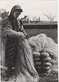 Bundling hemp fiber in 1950.