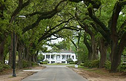Stewartfield (1850), one of several surviving antebellum summer houses, and its avenue of live oaks.