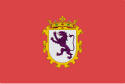 Flag of the city of León