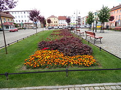 Flower beds in Chojnów