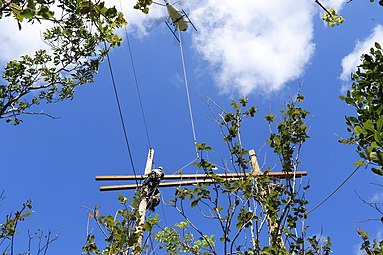 Critical electrical grid infrastructure of Costa Sur in the Guánica State Forest