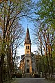 In der Fotografie akzentuiert eine Lindenallee als Repoussoir die Pfarrkirche zu Weissenbach an der Triesting und dient einer gesteigerten Tiefenwirkung.