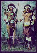 Solomon Islands warriors, 1895.