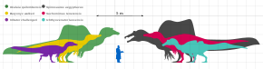 Silhouettes of six spinosaurid dinosaurs compared with that of a human, Ichthyovenator second from right