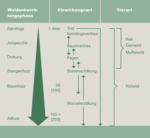 Übersicht verschiedener Formen von Wildschäden in Bezug auf Waldentwicklungsstadium und die dafür in Deutschland bedeutsamsten Wildart