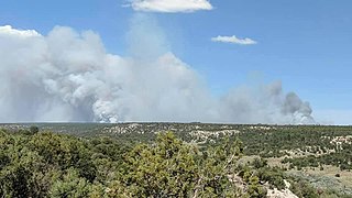 The fire on June 29, as seen from Window Rock