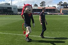 A person in a costume walking around the field accompanied by a Melbourne staff member