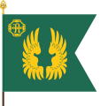 The colour of the Kainuu Jaeger Battalion, part of the Kainuu Brigade, follows the traditional swallow-tailed format of infantry units. The flag features the family crest of the founder of the city of Kajaani, count Brahe, as well as the symbol of the 14th Division which formed and fought nearby.