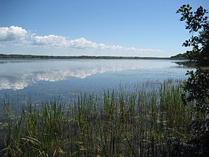 Photograph from one shore of a large pond about a mile across. The sky has clouds that are also seen in reflections from the pond.