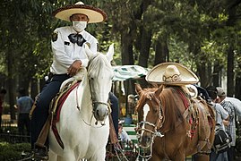 Mexikanische berittene Polizei mit Sombrero (2009)