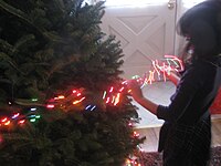 Stringing lights on tree
