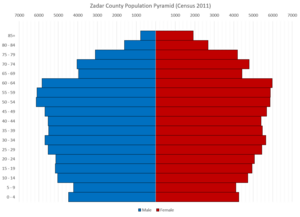 Zadar County Population Pyramid (2011)