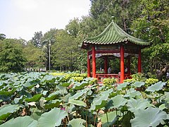 Pavilion in the Taiwan Botanical Gardens