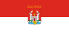 Flag of Kalocsa