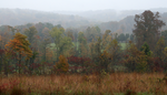 A hazy fall day over the hills in Hoosier National Forest.