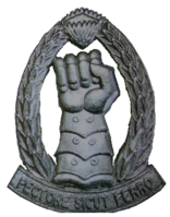 SANDF Armoured Formation beret badge circa 1996 forward