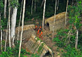 Image 8Members of an uncontacted tribe encountered in Acre in present-day Brazil in 2009 (from Indigenous peoples of the Americas)